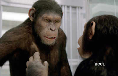 'Rise Of The Planet Of The Apes'
