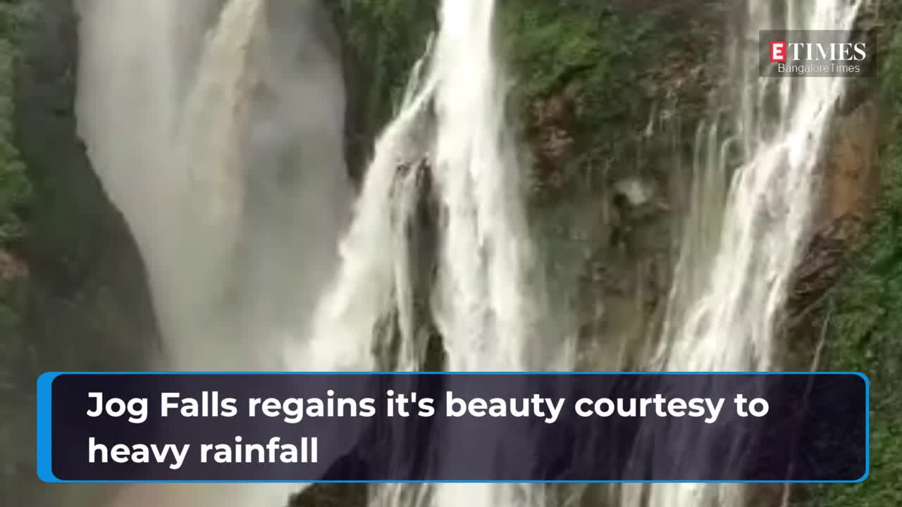 jog falls: Jog Falls regains it's beauty courtesy heavy rainfall