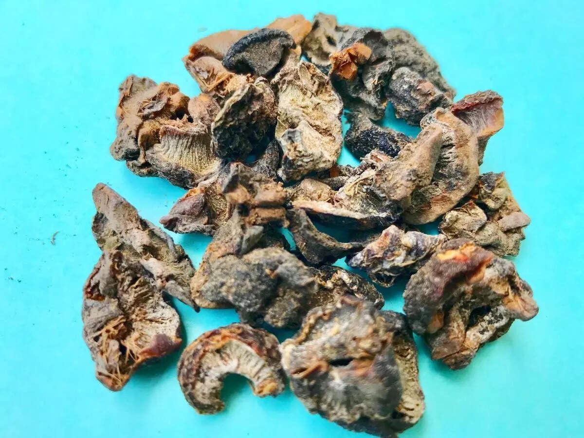 Amla Benefits Tried and tested Amla Candy recipe that helps in