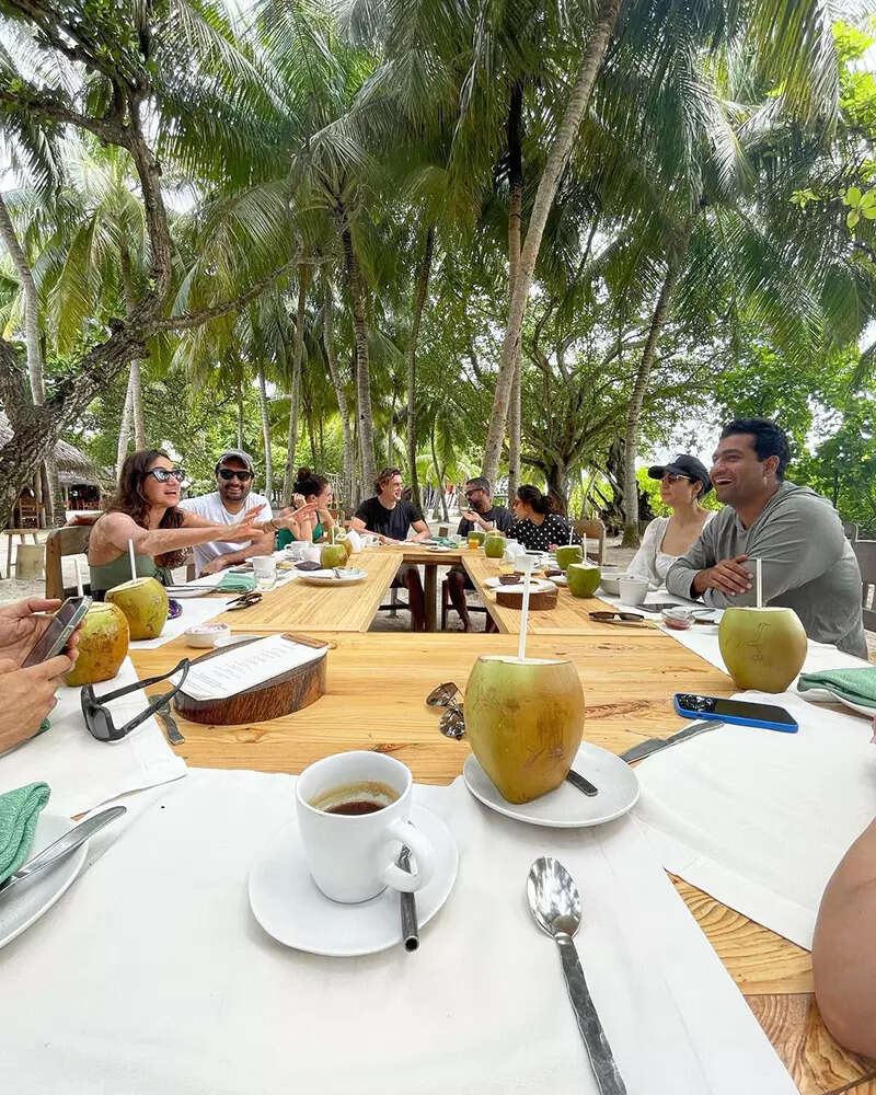 New pictures of Vicky Kaushal and Katrina Kaif with friends from their vacay will make you miss your BFFs