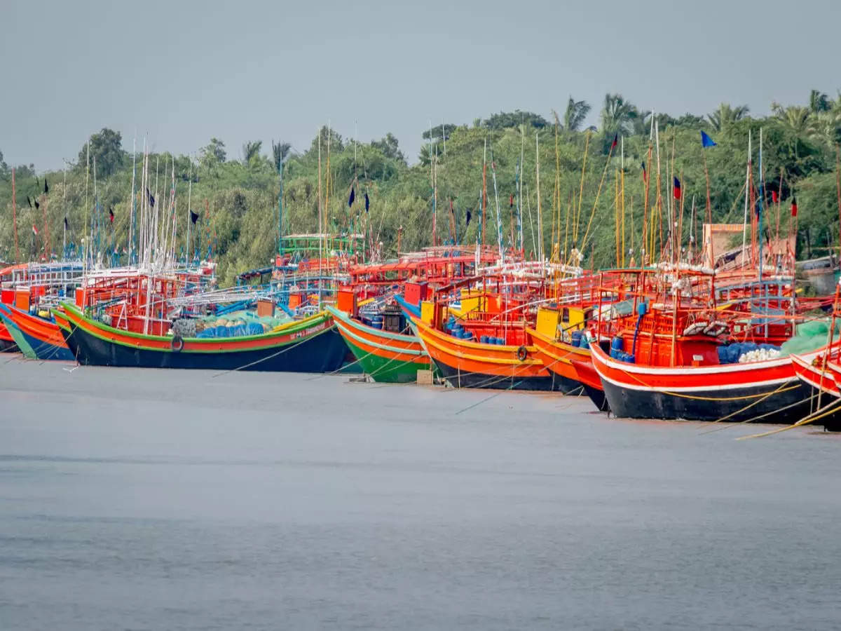 Sundarbans, the land of infinite natural wonders and Royal Bengal tigers