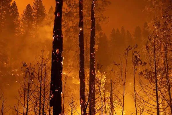 Massive California wildfire burns cars, homes and 18,000-acre jungles to ashes; see pics