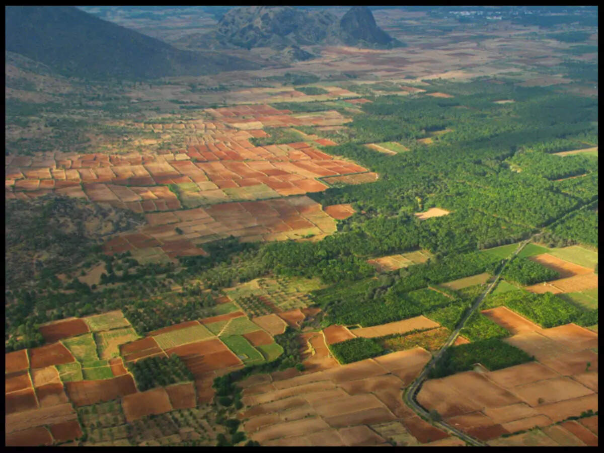 Ramakkalmedu, the mountain resort with pretty windmills Ramakkalmedu, the mountain resort with pretty windmills