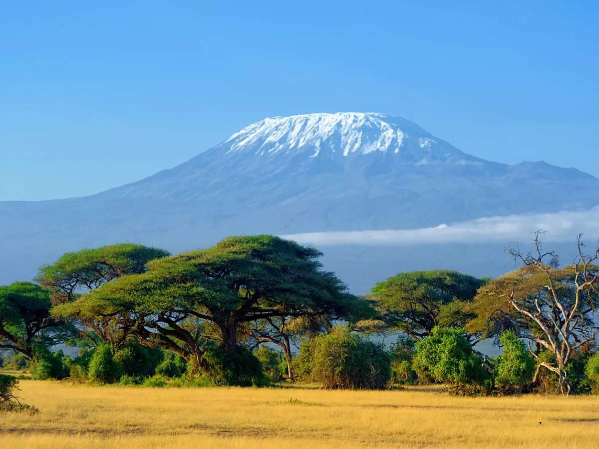 You can now instantly post pics from Mt Kilimanjaro, internet installed on Africa’s highest mountain You can now instantly post pics from Mt Kilimanjaro, internet installed on Africa’s highest mountain