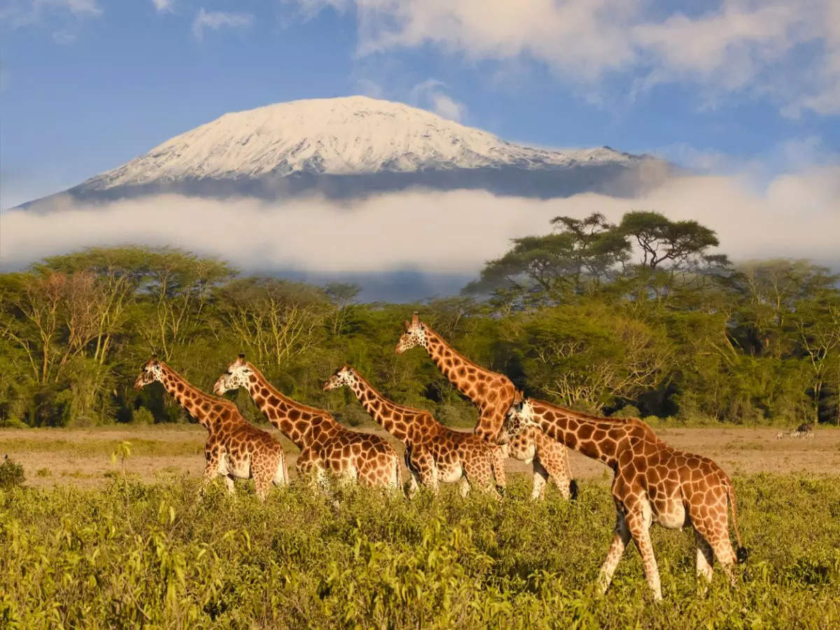 You can now instantly post pics from Mt Kilimanjaro, internet installed on Africa’s highest mountain