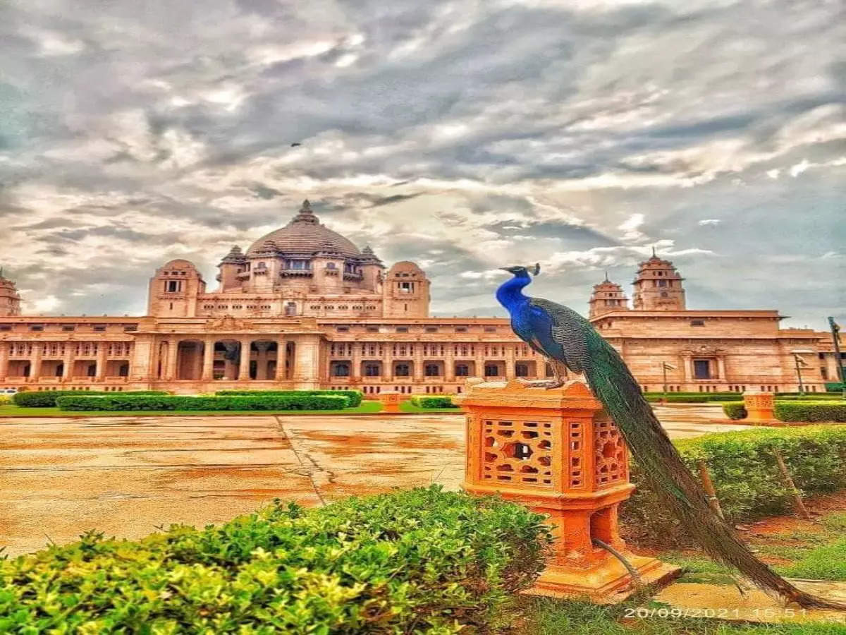 Tasting Rajasthan’s royalty at Umaid Bhawan Palace in Jodhpur