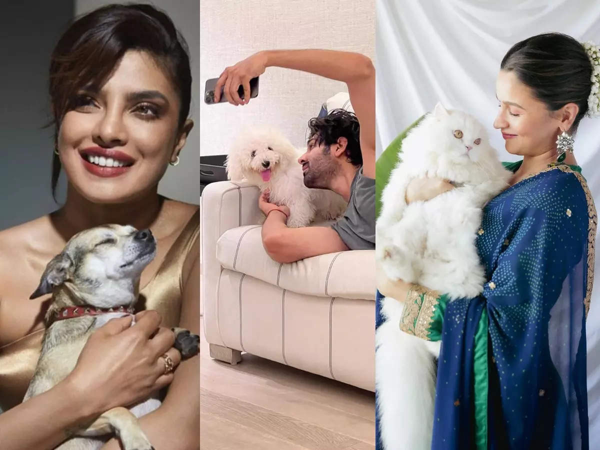 Priyanka Chopra To Kartik Aaryan: B-Town Stars Whose Pets Have A Fan ...