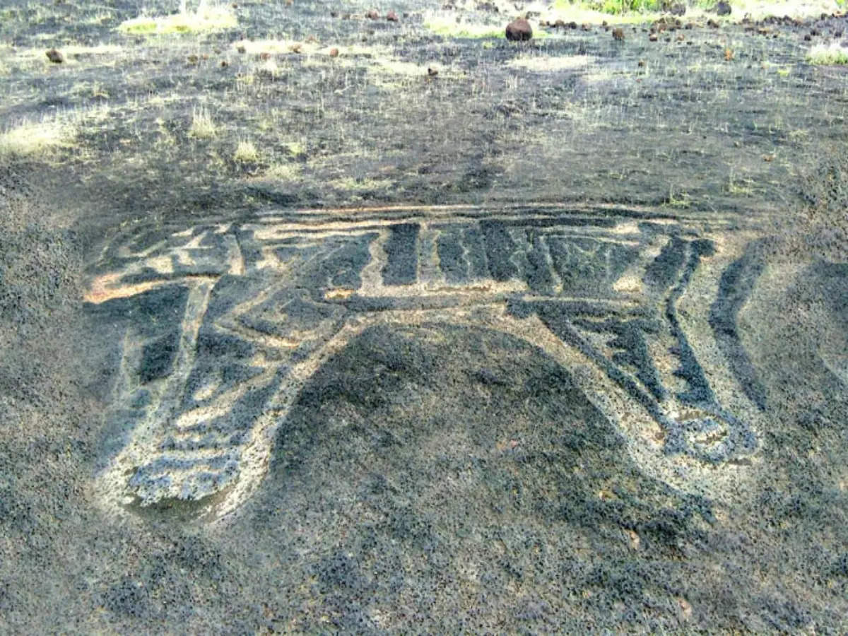 What makes the Konkan petroglyphs so unique?