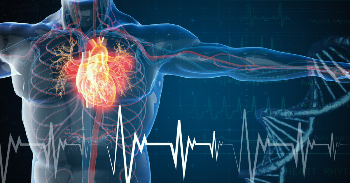 Heart disease: THIS vitamin deficiency can damage your artery walls