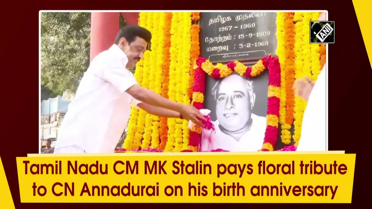 tamil nadu: Tamil Nadu CM MK Stalin pays floral tribute to CN Annadurai ...