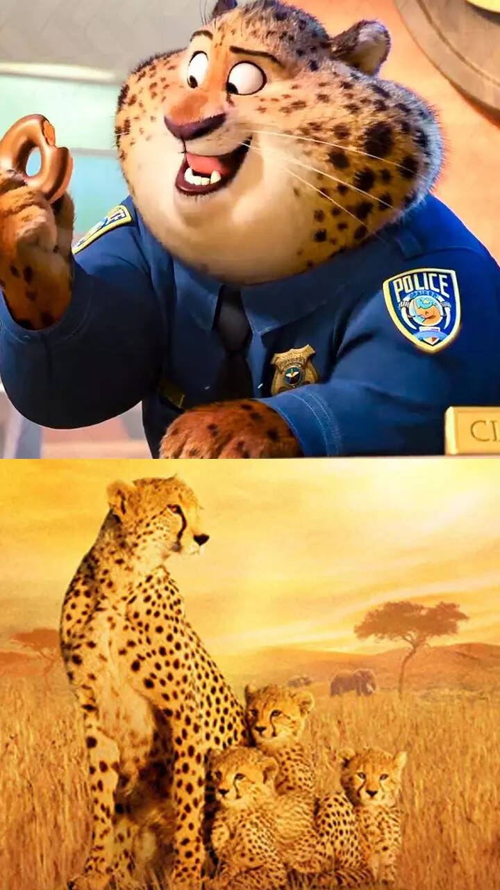 Find Your Inner 'Zootopia' Character Disney Zootopia,, 50% OFF