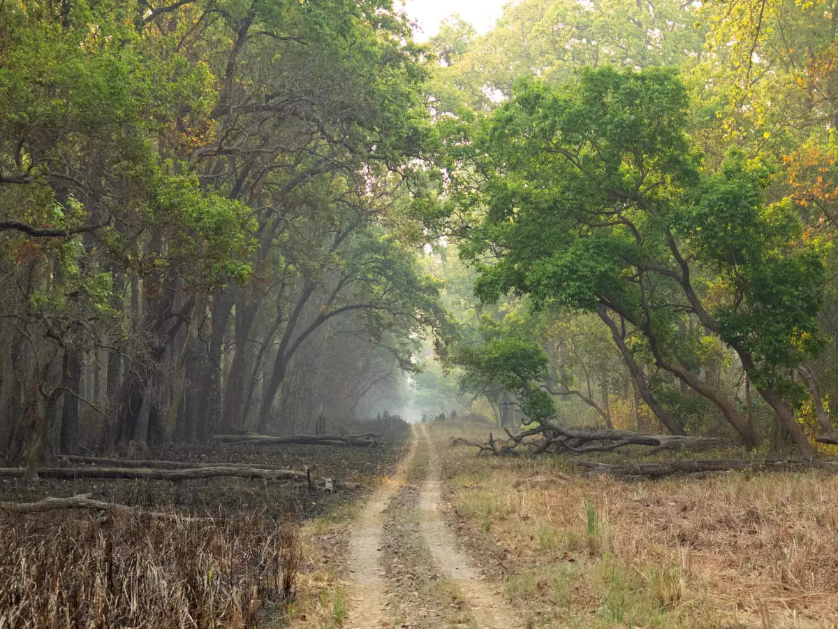 Uttar Pradesh To Boost Rural Tourism, 18 Districts Earmarked For The ...