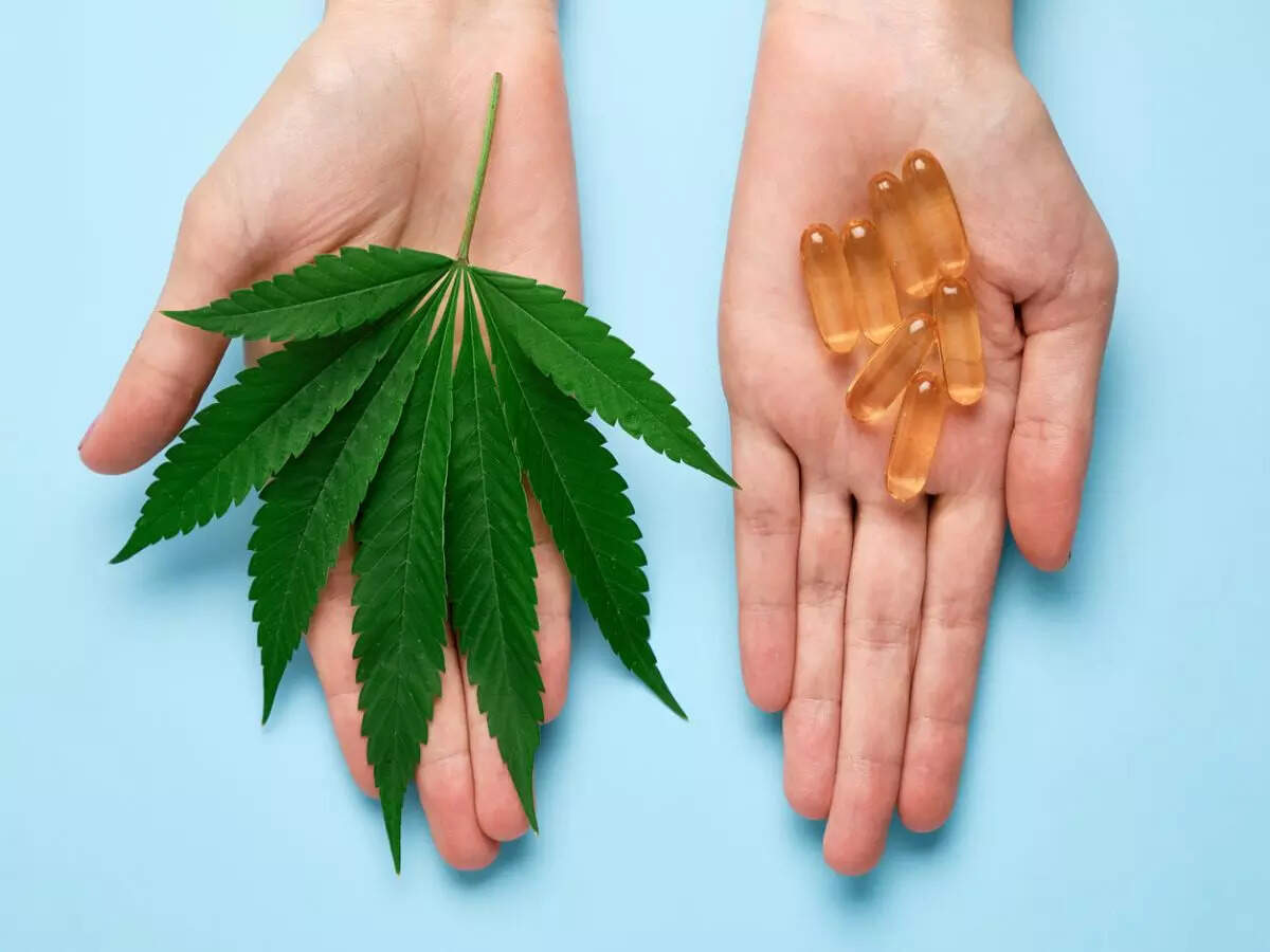 Kerala is now home to Asia’s first cannabis Ayurvedic retreat! Kerala is now home to Asia’s first cannabis Ayurvedic retreat!