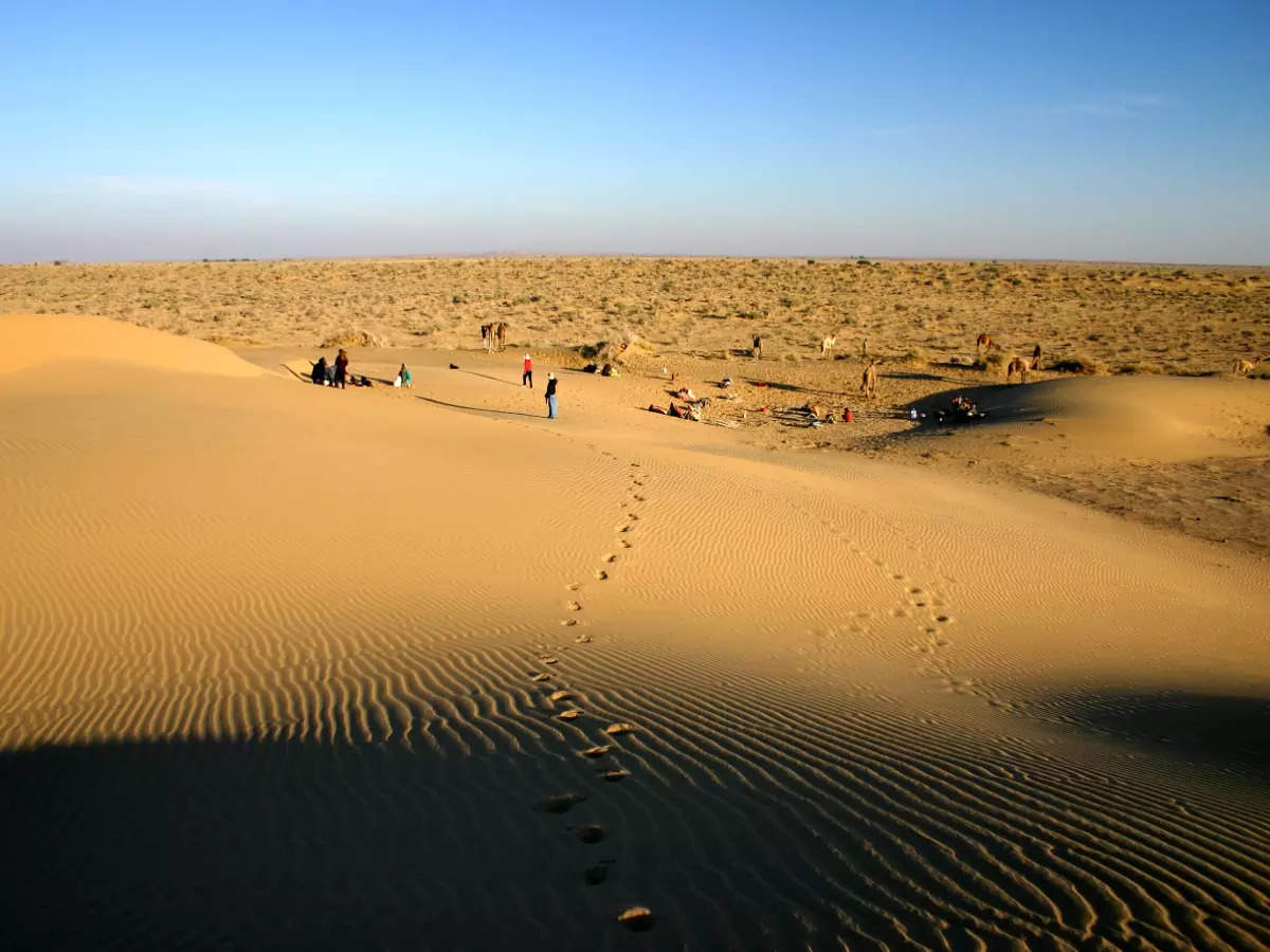 What makes Desert National Park a unique national park in India?