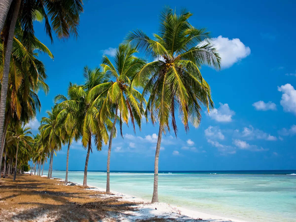 A guide to Lakshadweep, one of India’s most pristine islands A guide to Lakshadweep, one of India’s most pristine islands