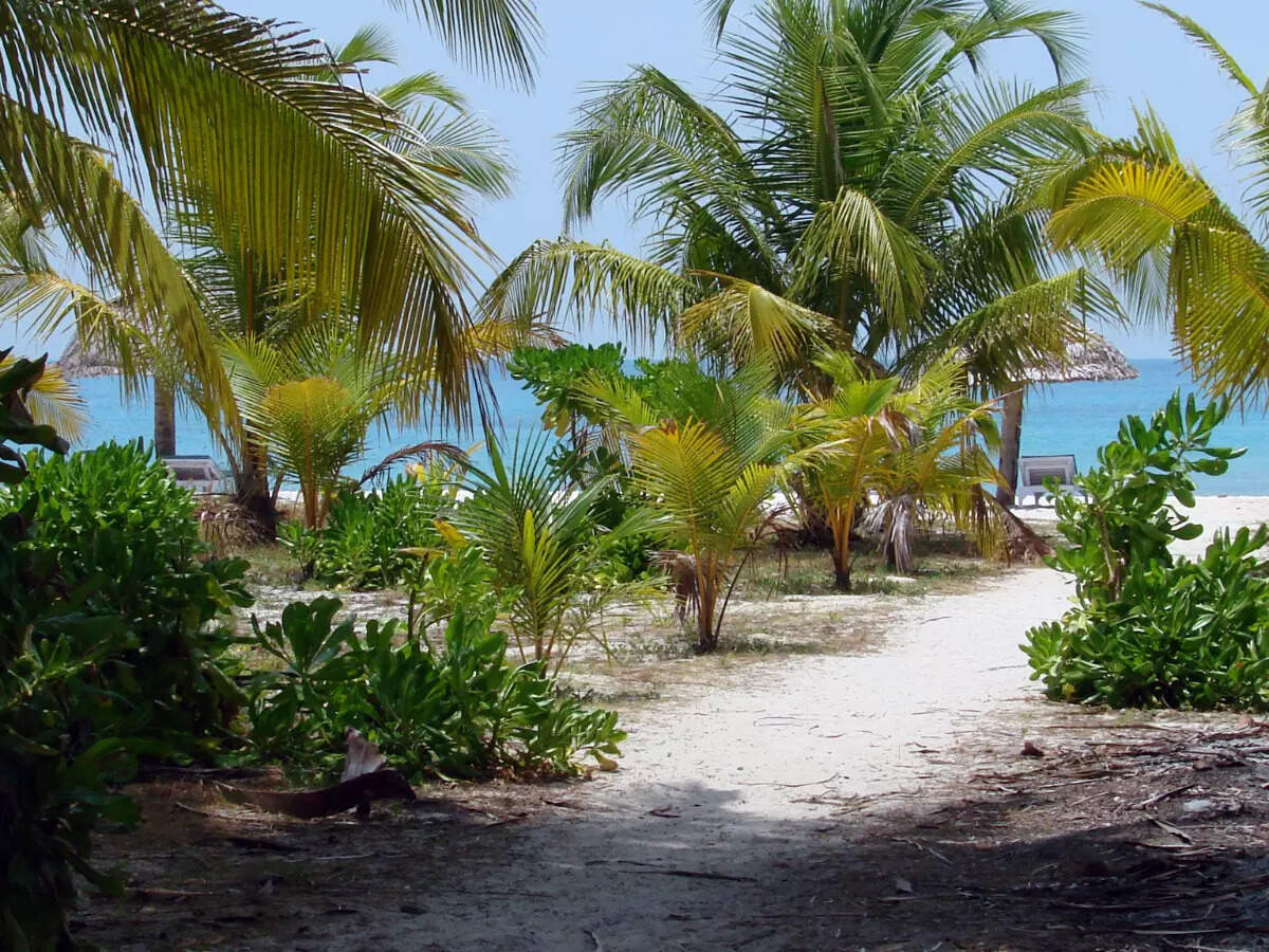 A guide to Lakshadweep, one of India’s most pristine islands A guide to Lakshadweep, one of India’s most pristine islands