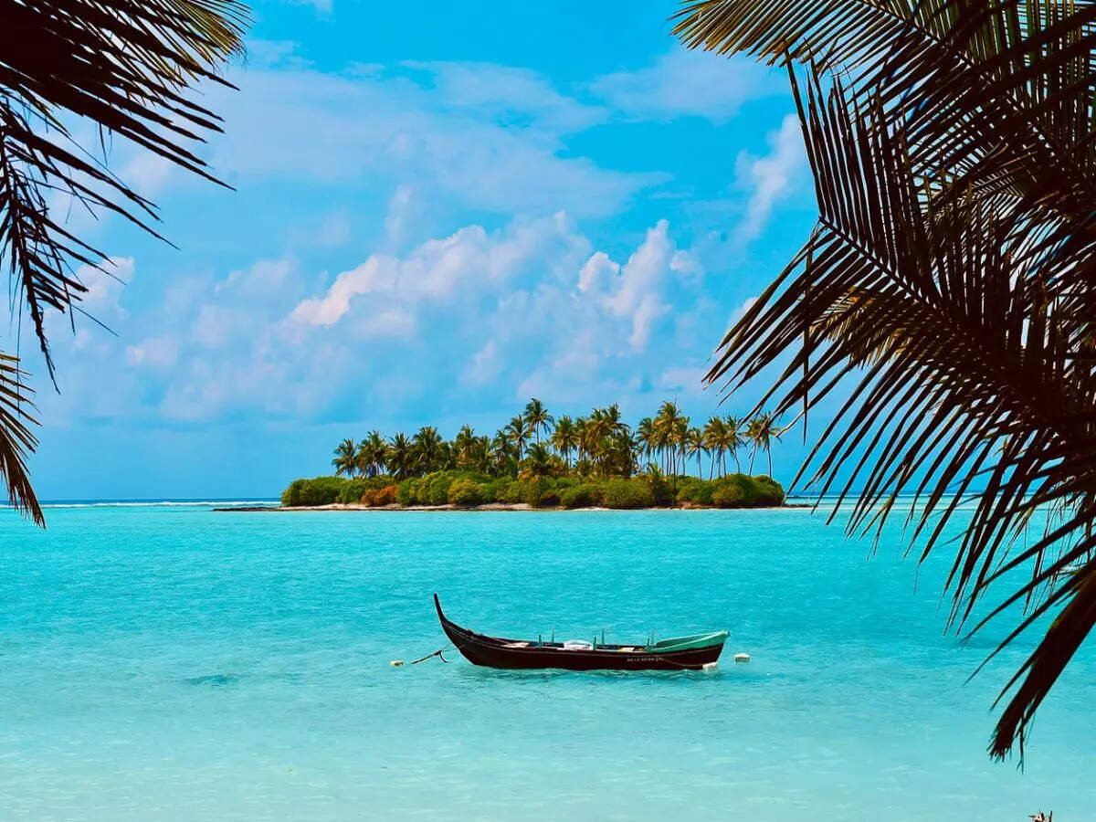 Two more Indian beaches given prestigious Blue Flag certification Two more Indian beaches given prestigious Blue Flag certification