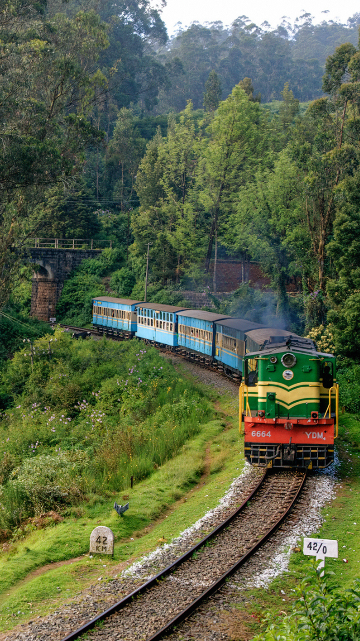 Train rides in India that get prettier with winters | Times of India