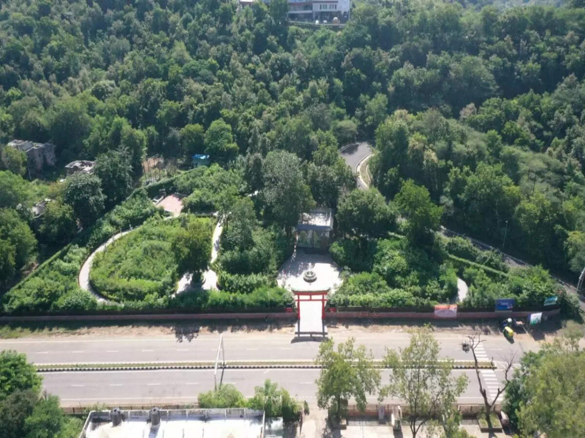 The Statue of Unity gets three new tourist attractions, Maze Garden, Miyawaki Forest and Ekta Houseboat The Statue of Unity gets three new tourist attractions, Maze Garden, Miyawaki Forest and Ekta Houseboat