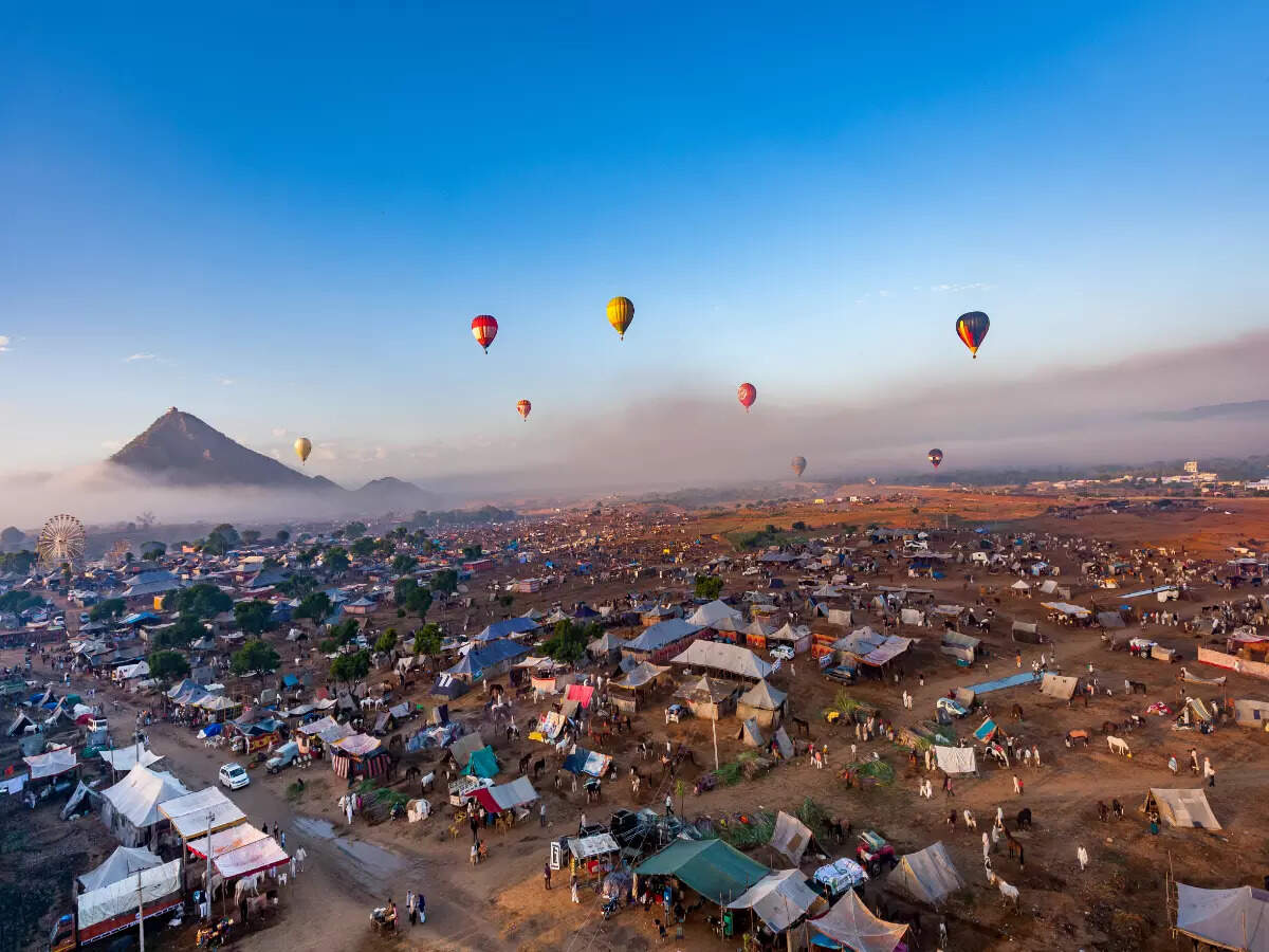 Rajasthan is all ready to host the annual Pushkar Fair Rajasthan is all ready to host the annual Pushkar Fair