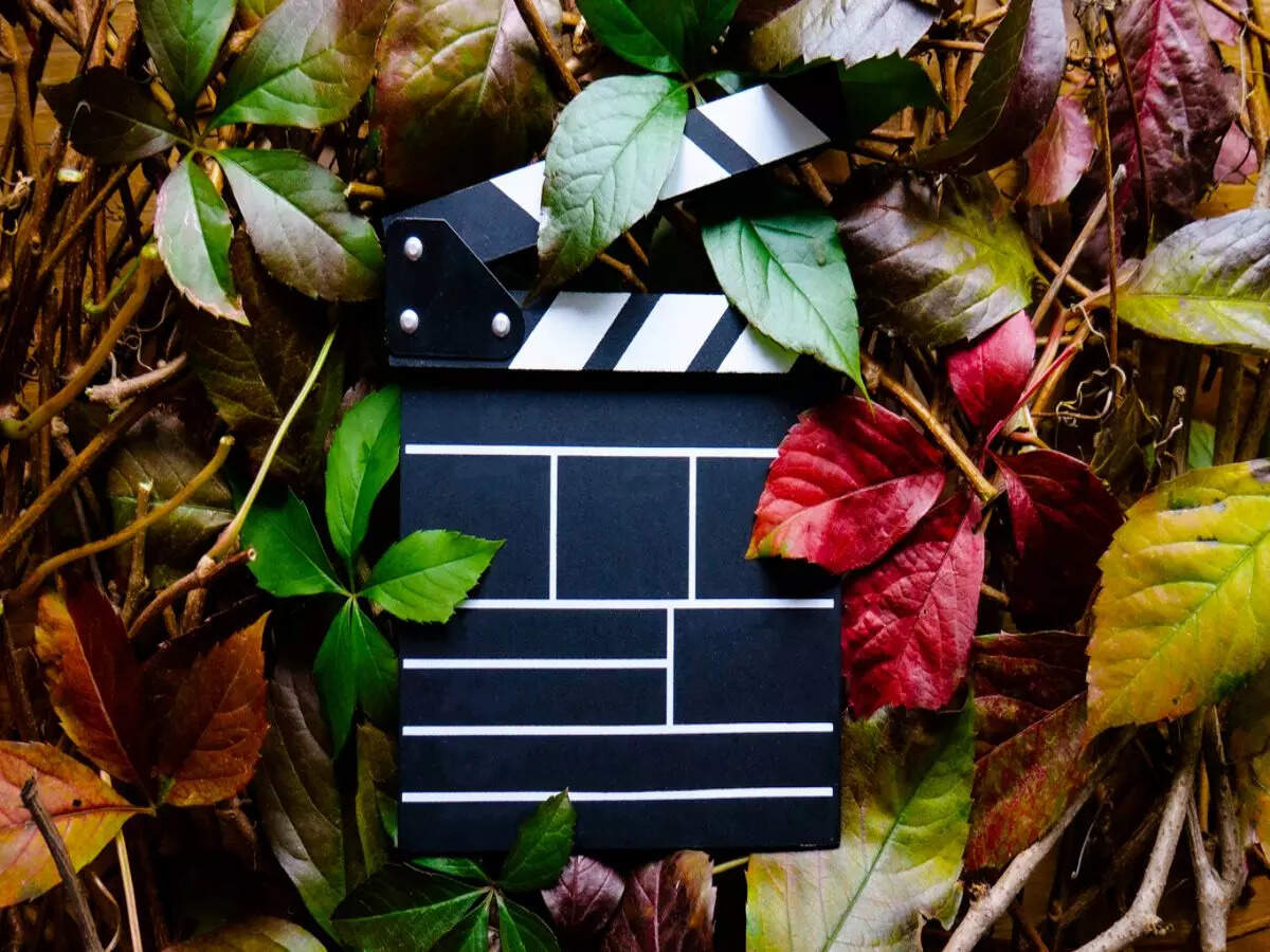 All about ALT EFF, the only environmental film festival in India All about ALT EFF, the only environmental film festival in India