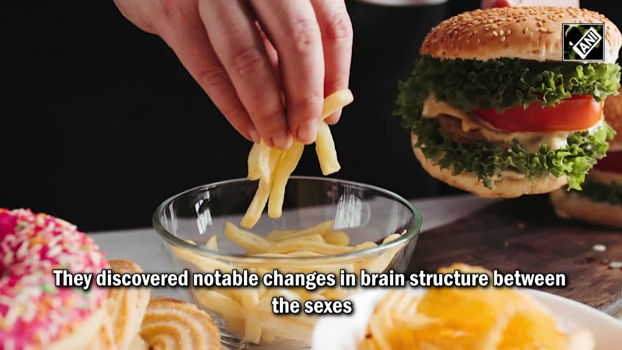 Researchers find difference in brains of boys, girls with binge eating ...