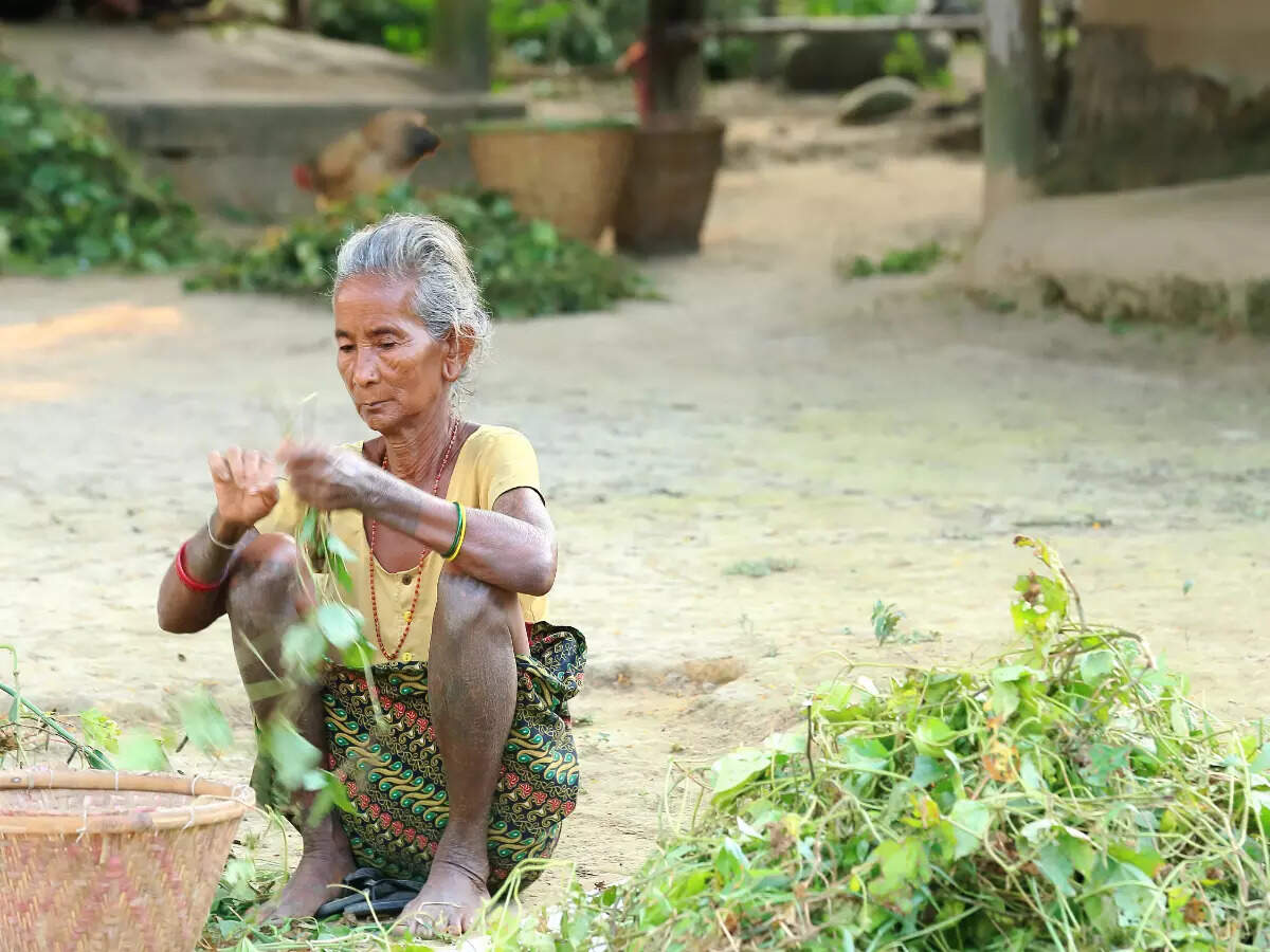 Soon, experience tribal tourism in Dudhwa Tiger Reserve Soon, experience tribal tourism in Dudhwa Tiger Reserve