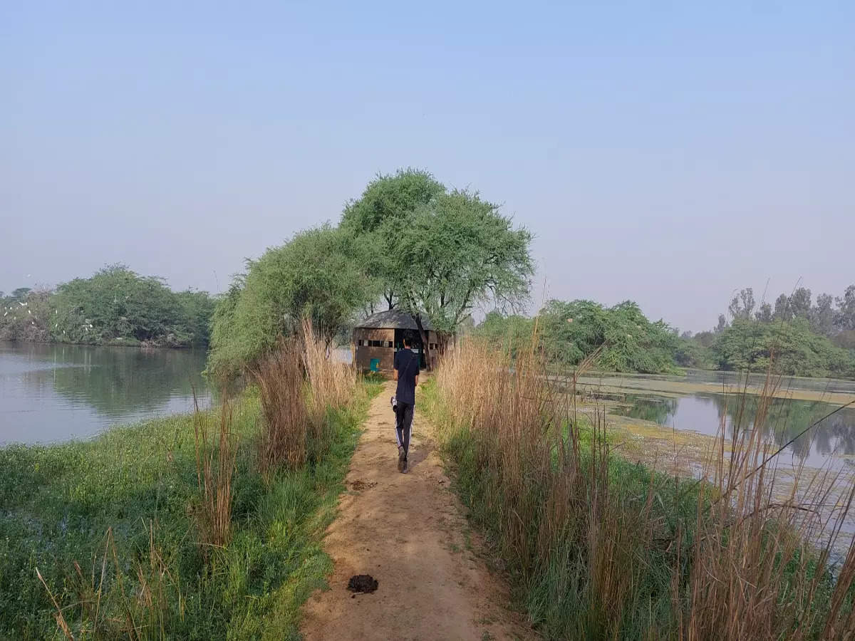 What makes Delhi-NCR a birding hotspot? What makes Delhi-NCR a birding hotspot?