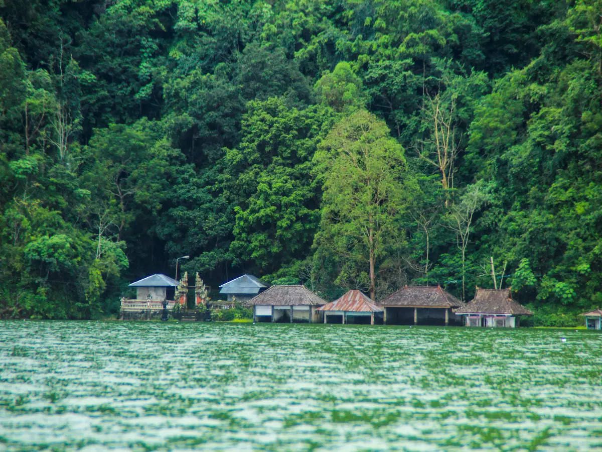 Trunyan village, Bali: A burial site that inspires travel | Times of ...