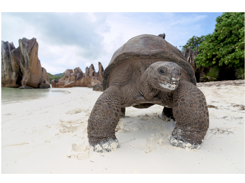 Your holiday destination – Islands of Love, Seychelles Your holiday destination – Islands of Love, Seychelles