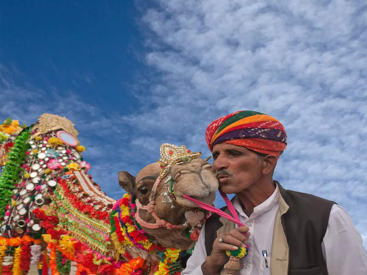 Bikaner to host the annual Bikaner Camel Festival; all the details here