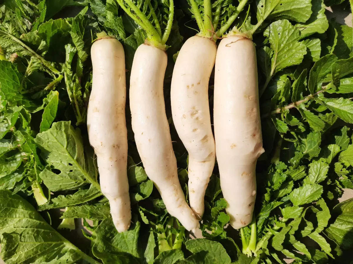 Winter foods: 6 reasons to eat raw radish daily with your meals