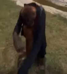 Watch: Orangutan tries to wear this man's jacket and succeeds, video viral
