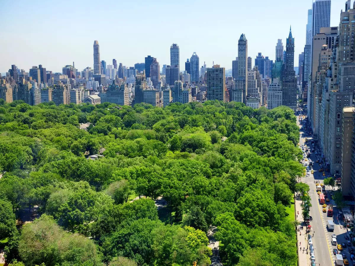 You will now be able to interact with over 1 million trees when in New York City!