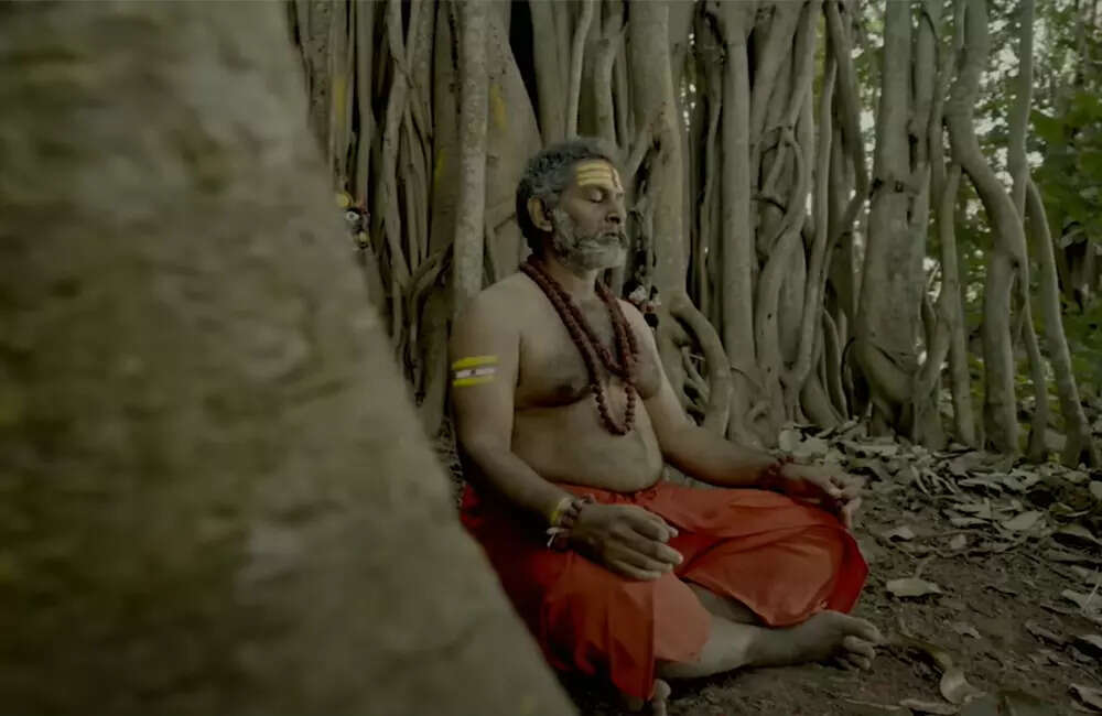 kanvi2