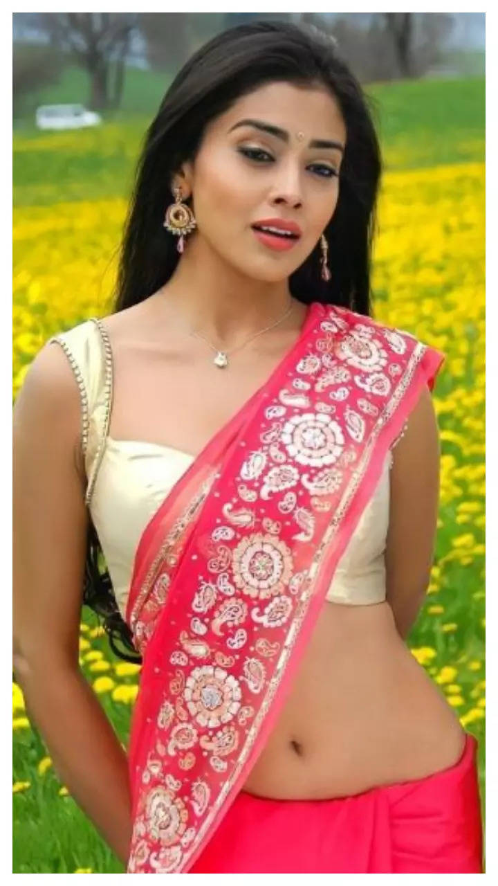 20 Times Shriya Saran Impresses In Colorful Sarees | Times of India