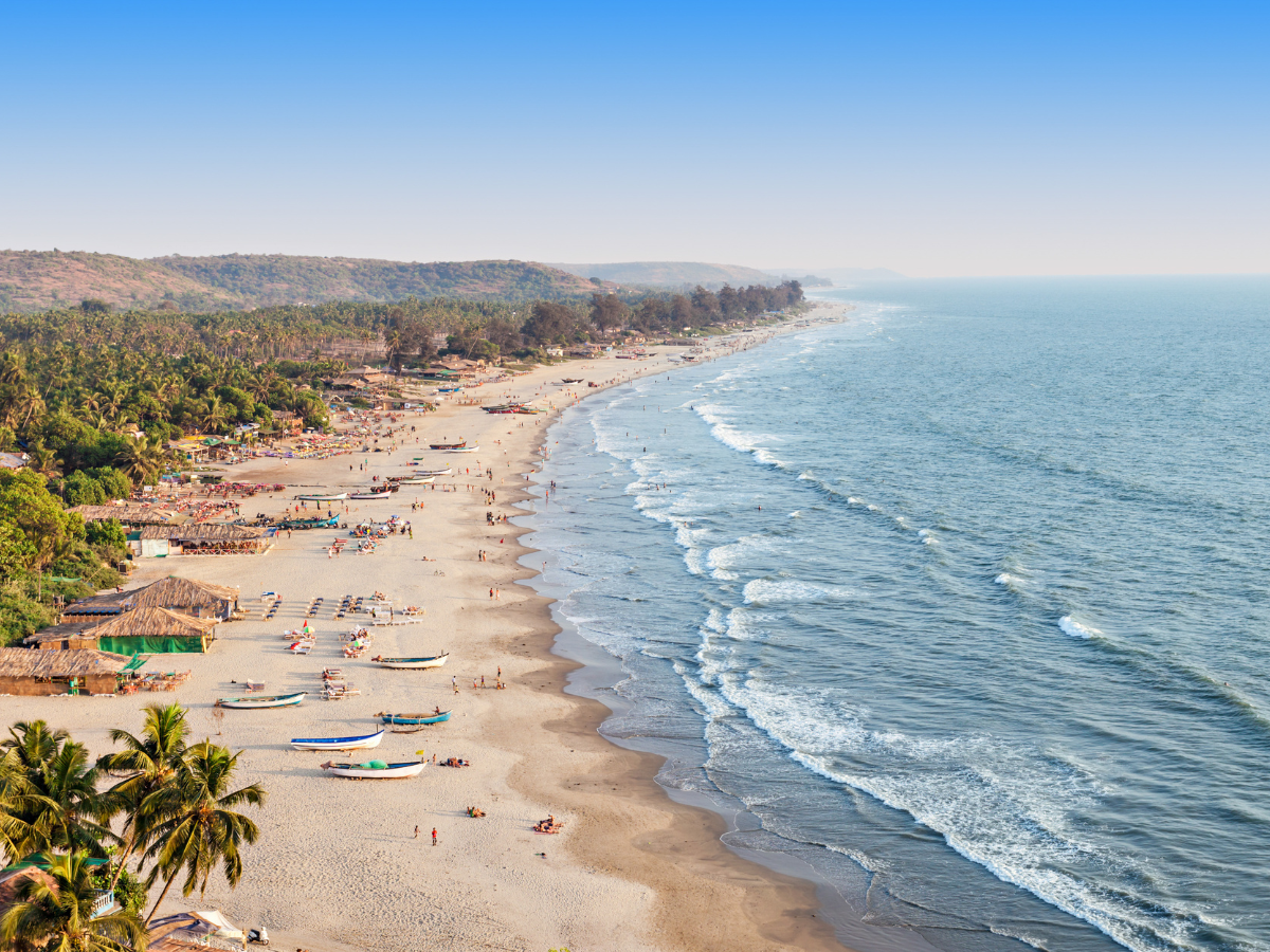 Goa: No COVID curbs till January 2 as state gears up for New Year festivities Goa: No COVID curbs till January 2 as state gears up for New Year festivities