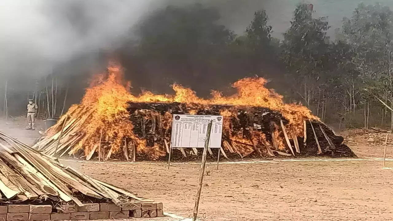 'Helluva party for locals': Internet lit with memes as news of police burning 14000 kg ganja goes viral