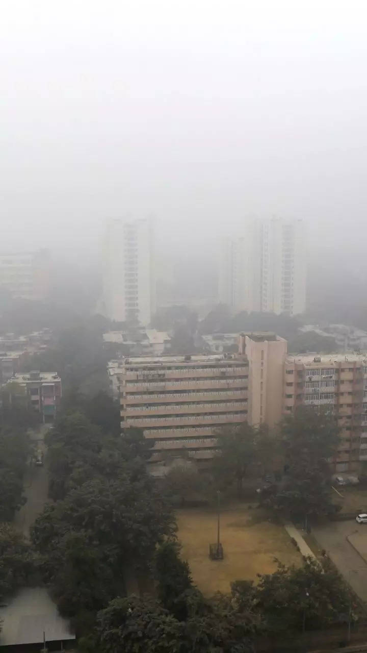 Cold Wave In North India: All You Need To Know About Dense Fog, Cold ...