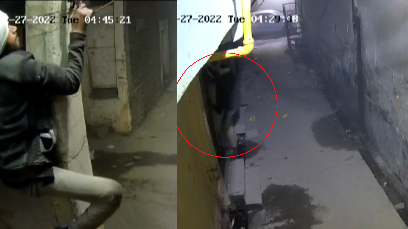 Watch Thief climbs up a drain pipe to enter into house in Delhi’s