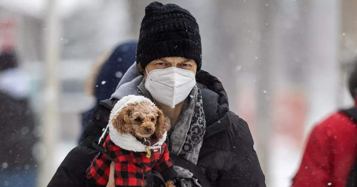 World in throes of winter as cold wave sweeps across regions