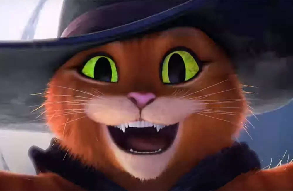 puss3