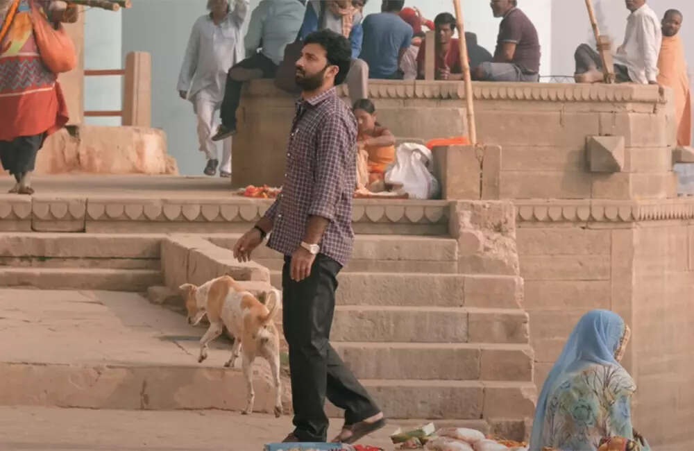 kashi2