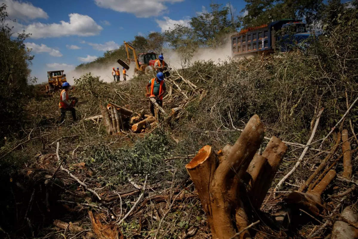 Pictures of Collapse, contamination: Mexican scientists sound alarm at Mayan Train