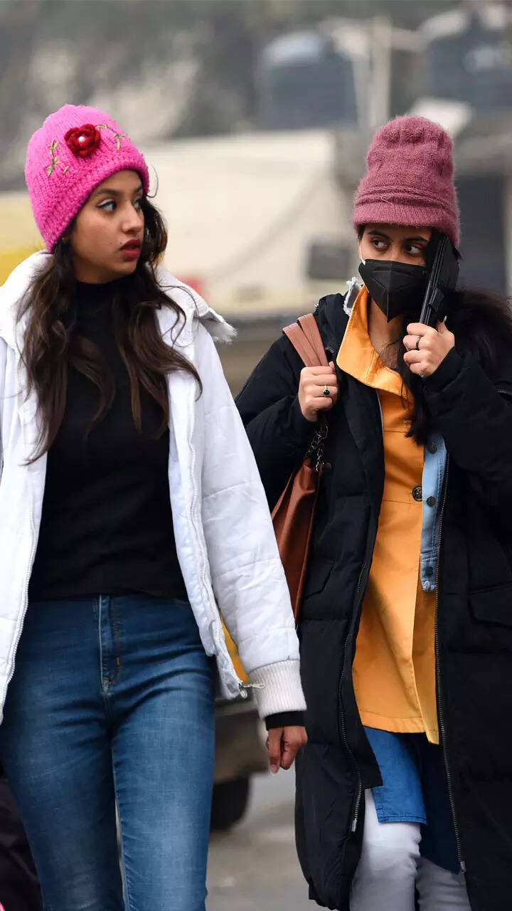 Delhi witnesses season's longest fog spell; rail, air traffic hit ...