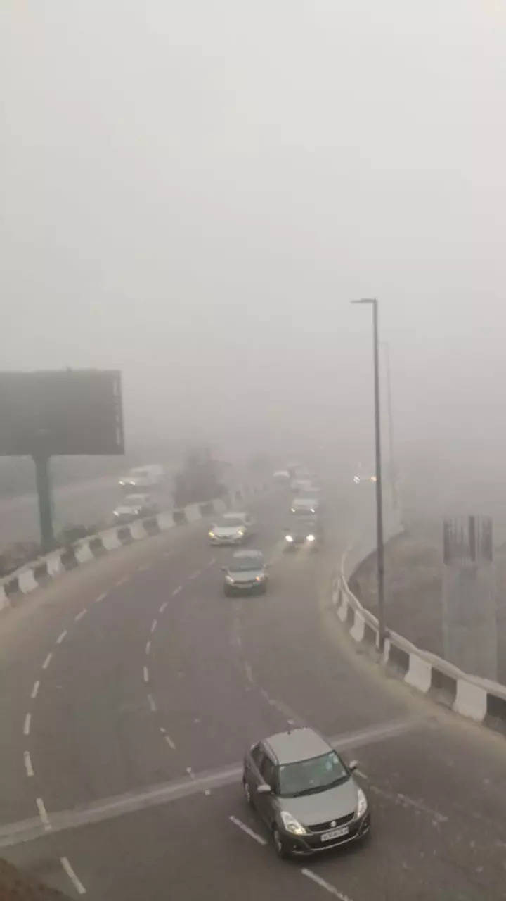 Delhi Weather: Dense Fog Lowers Visibility In National Capital; Flight ...