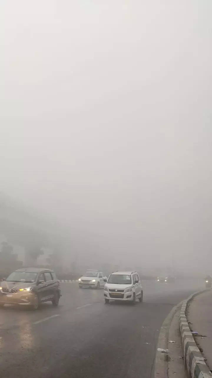 Delhi Weather: Dense Fog Lowers Visibility In National Capital; Flight ...