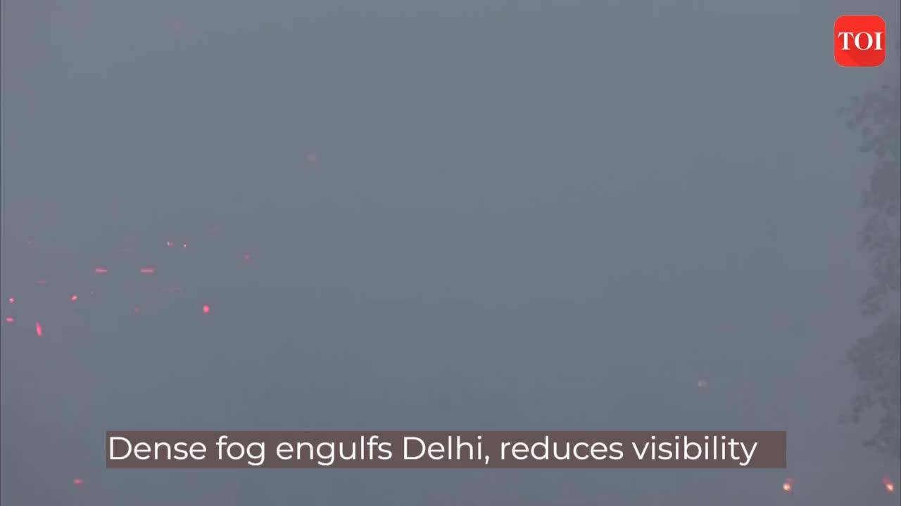 Dense Fog Engulfs Delhi, Reduces Visibility