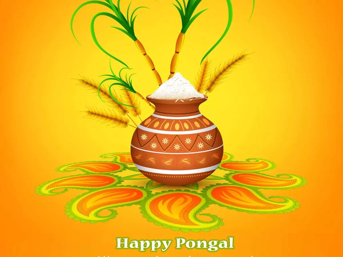 Pongal 2023: Importance Of This Traditional South Indian Festival ...