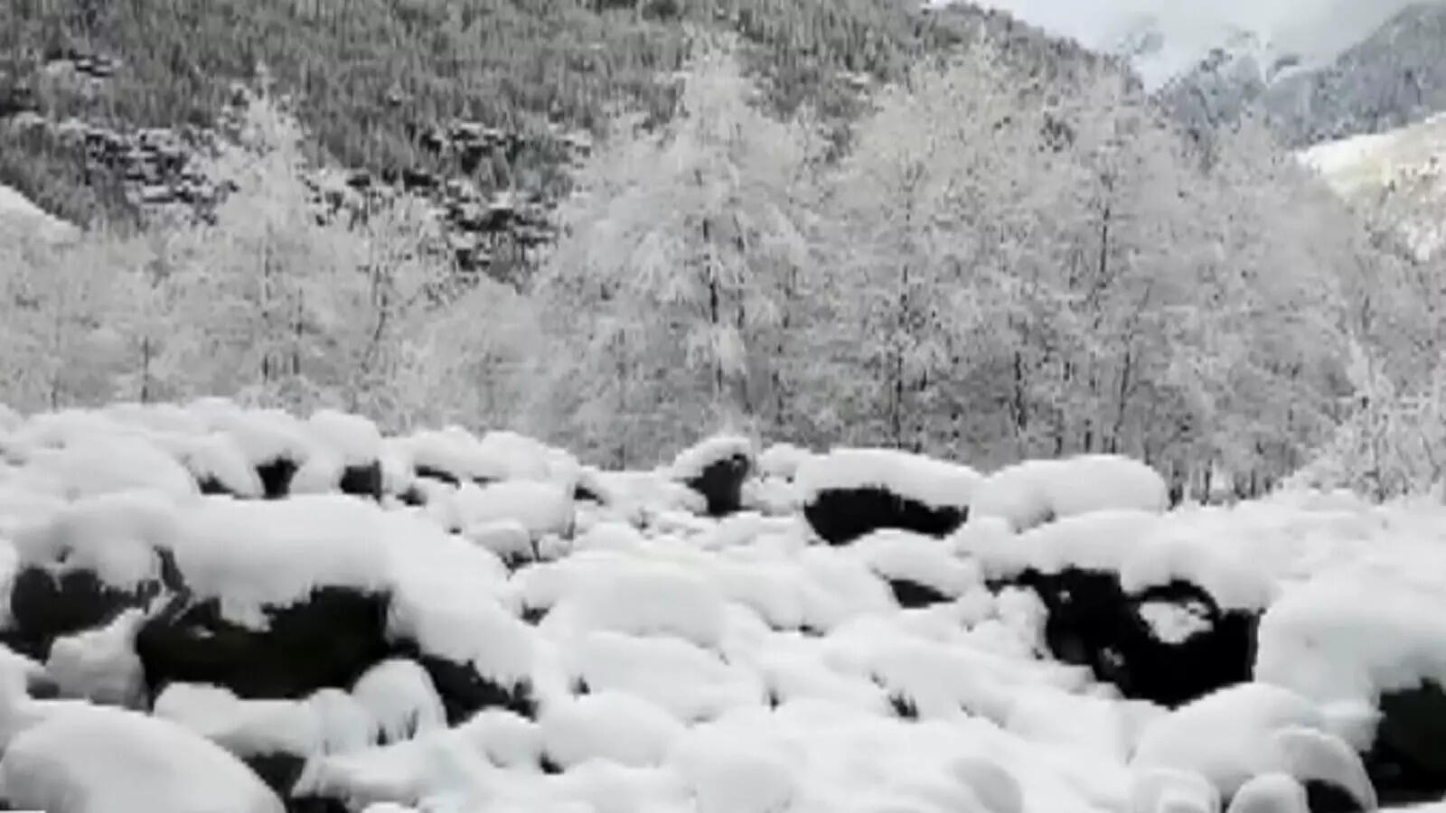Snowfall in Manali, Narkanda turns Himachal Pradesh into winter wonderland
